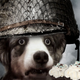 Image for article titled Kotaku 'Shop Contest: The Stare Of Duty, Winners!
